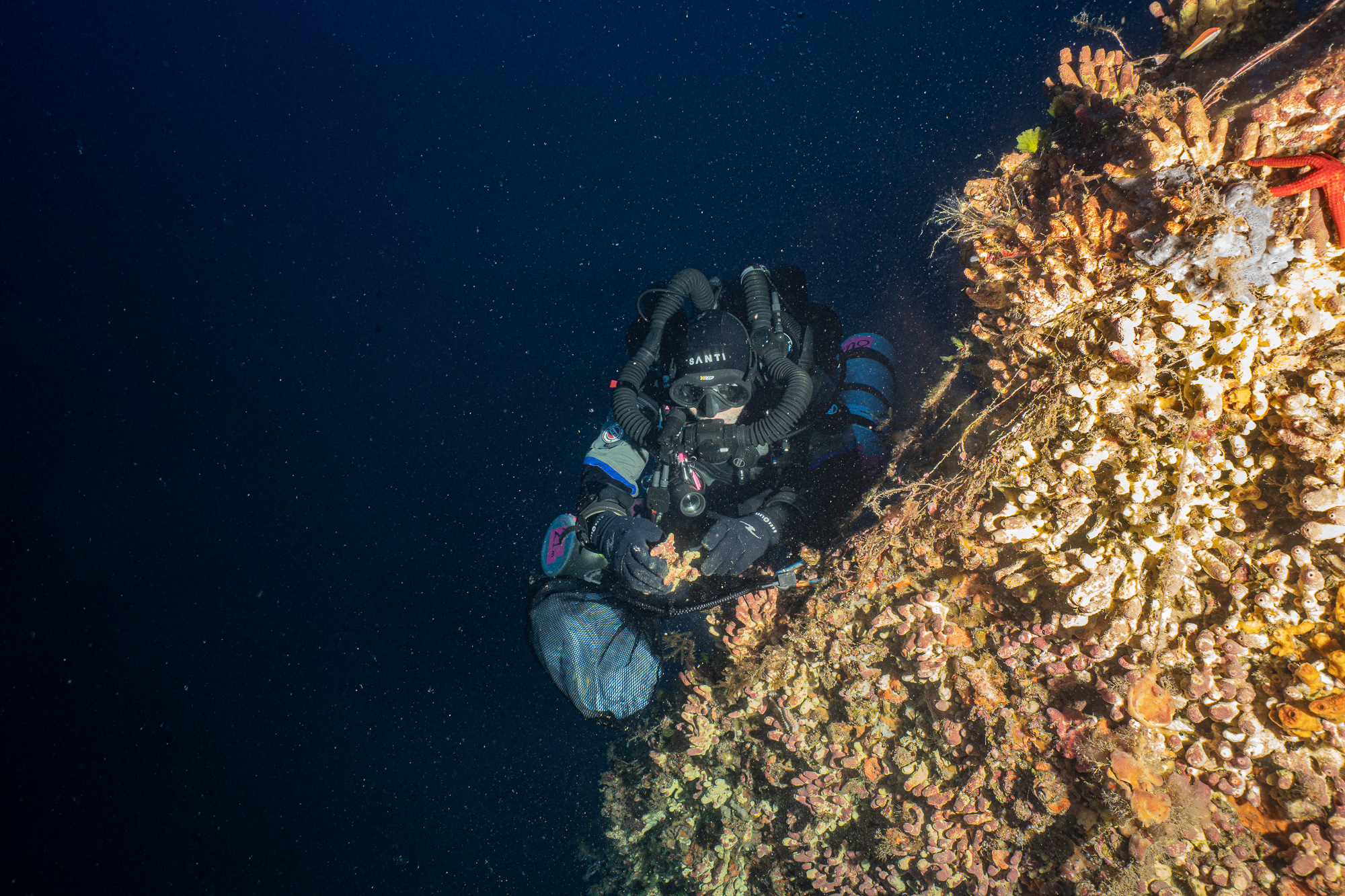 Surveying a shipwreck in Malta