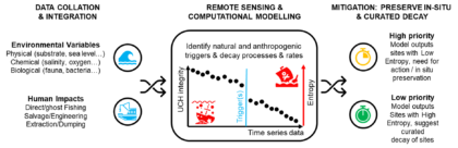 CHFP Endure Logo
