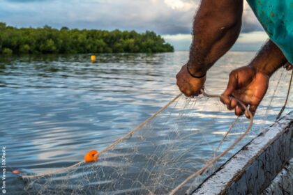A Sea of Connections: Valuing Reef Passages in the South Pacific Region (SOCPacific2R)
