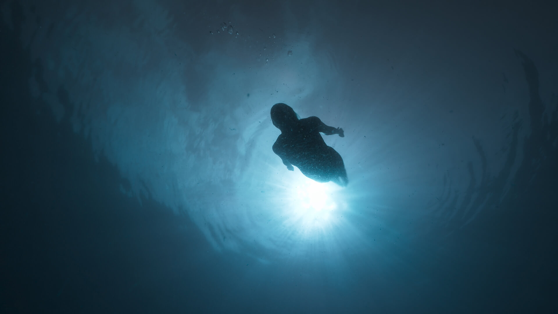 Swimmer dives below water surface with sun above